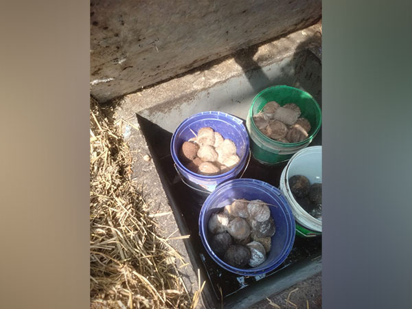 Crude bombs recovered from Rampurhat in West Bengal (Photo/ANI)