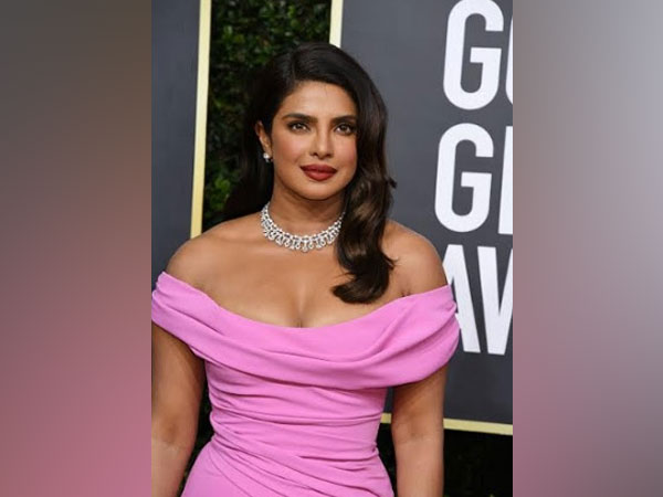 The producers have till now remained secretive about 'Citadel's' plot