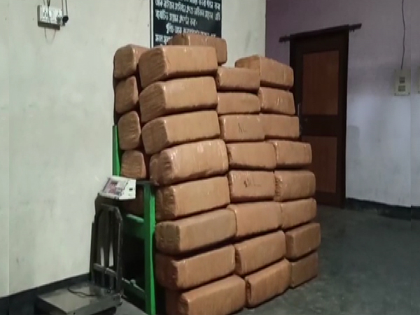 497 kg ganja recovered from the truck in Kokrajhar, Assam (Photo/ANI)