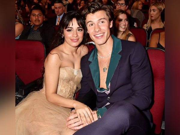 Camila Cabello, Shawn Mendes (Image source: Instagram)