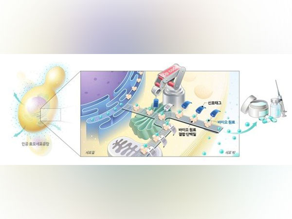 Photo credit:  Research Institute of Chemical Technology