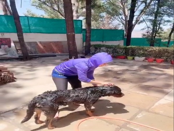 A still from the video shared by actor Urmila Matondkar (Image courtesy: Twitter) 