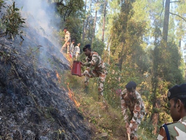 ITBP personnel douse fire in the Barahat range forests of the Uttarkashi district in Uttarakhand on Sunday. (Photo/ANI)