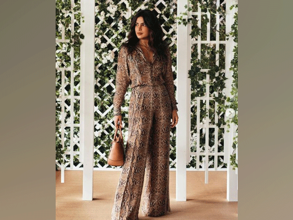 Priyanka Chopra Jonas (Image source: Instagram)