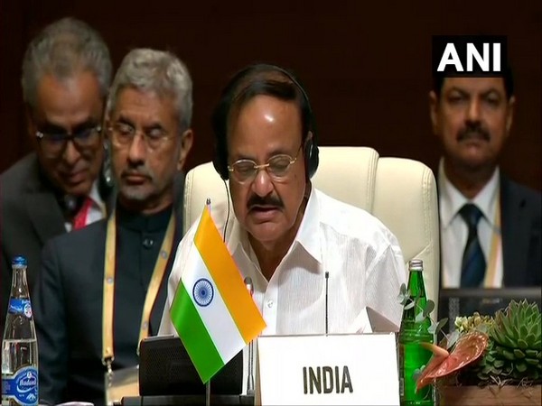 Vice President M Venkaiah Naidu addressing at the 18th NAM summit in Baku on Friday.