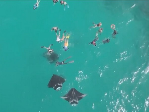 Varun Dhawan scuba diving (Image courtesy: Instagram)