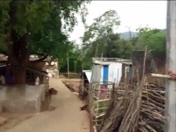 Village where an elephant herd created panic
