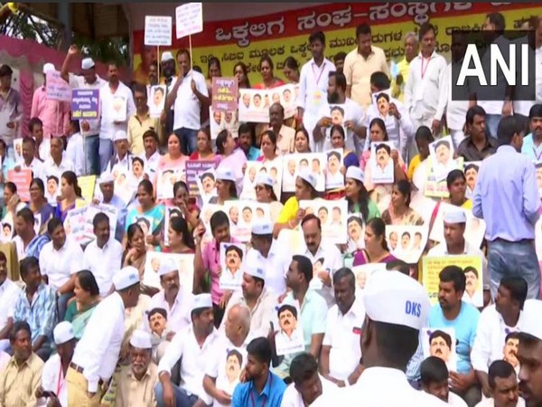 Members of the Vokkaliga Sangha protest against DK Shivakumar's arrest on Wednesday in Bengaluru. Photo/ANI