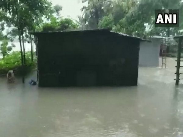 Houses submerged in Netaji Para after days of incessant rain. Photo/ANI