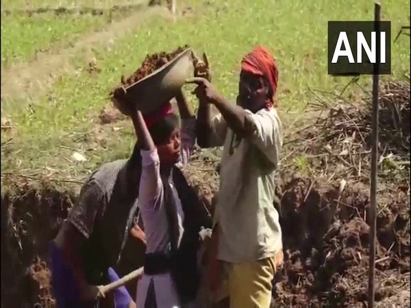 Rosy Behera (20), an engineering student in Puri working as daily wage labourer. (Photo/ANI)