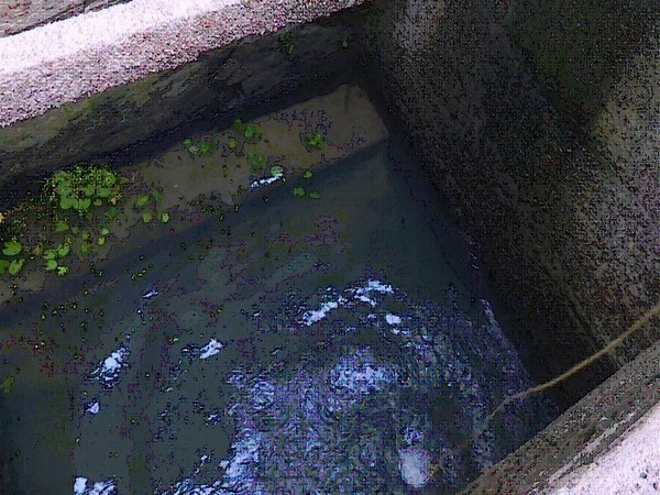 Public well in Madurai 