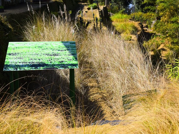 Representative iamge