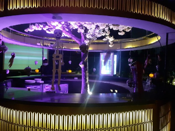 Visual from Cafe Unwind (photo/ANI)