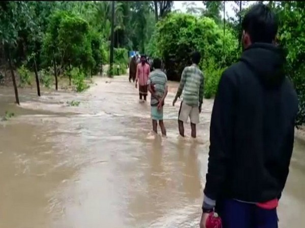 People of shivamogga crossing the paddy fields. (Photo/ANI)