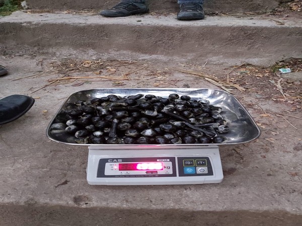 The seized heroine by the police in Himachal Pradesh's Kullu. Photo/ANI