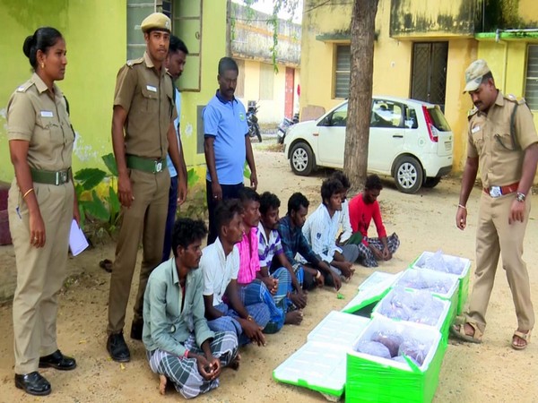 Mandapam Forest Department arrested 8 smugglers on Tuesday.