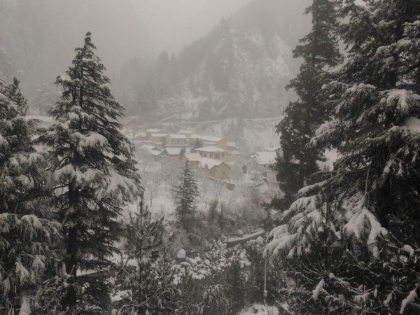 Snowfall at Uttarkashi on Thursday.