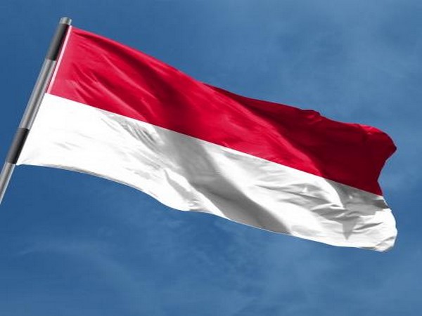 Indonesian flag