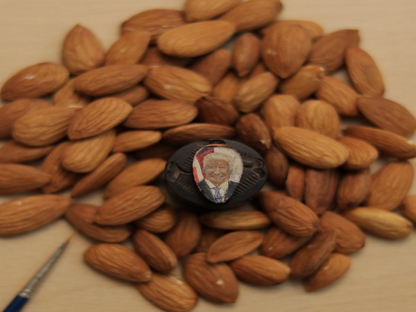 Aman Singh Gulati made a potrait of Donald Trump on an almond [Photo/ANI]