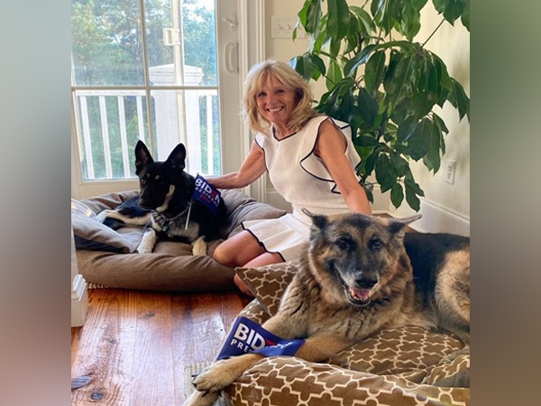 Jill Biden and the two German Shepherds -- Champ and Major Biden (Photo/Twitter)