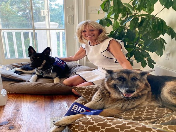Jill Biden with her dogs, Champ and Major (Credit: Dr. Jill Biden/Twitter)