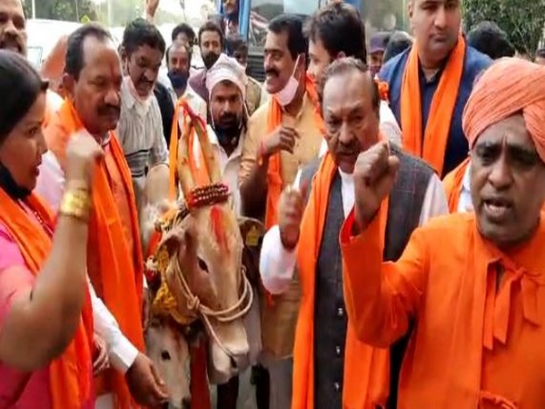BJP members including minister Prabhu Chauhan brought two cows into Vidhan Soudha premises and performed a puja for them. ANI Photo