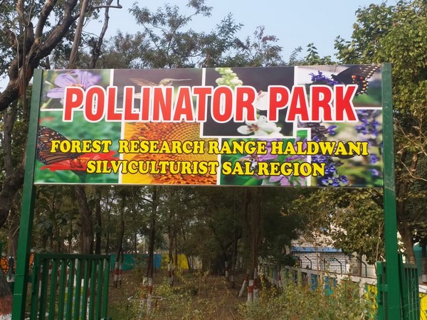 Picture from Pollinator Park