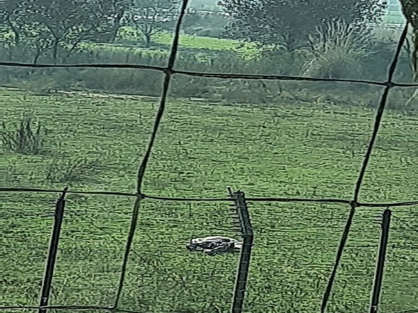 A Pakistani intruder was shot dead by the BSF at international border in Samba sector of Jammu and Kashmir on Monday. 