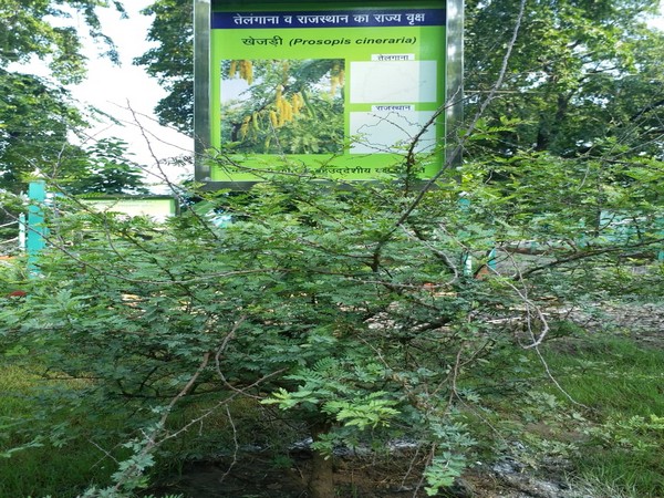 A visual of the area where the incident took place (Photo/ANI)