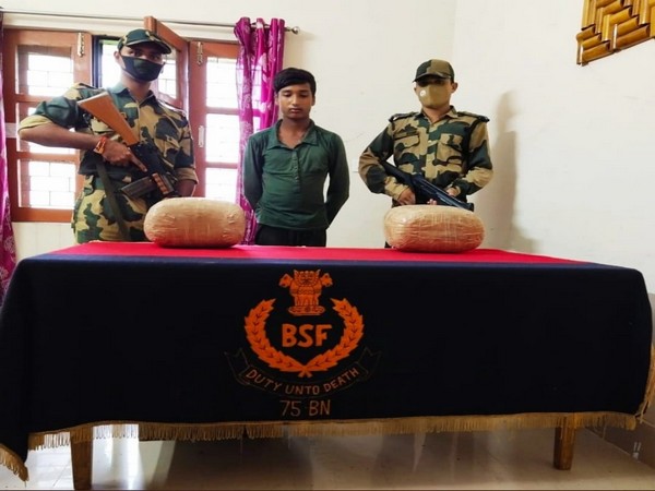 Arrested drug trafficker and seized cannabis (Photo/ANI)