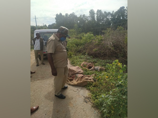 Karnataka: 20 monkeys found dead in Kolar, probe ordered [Photo/ANI]