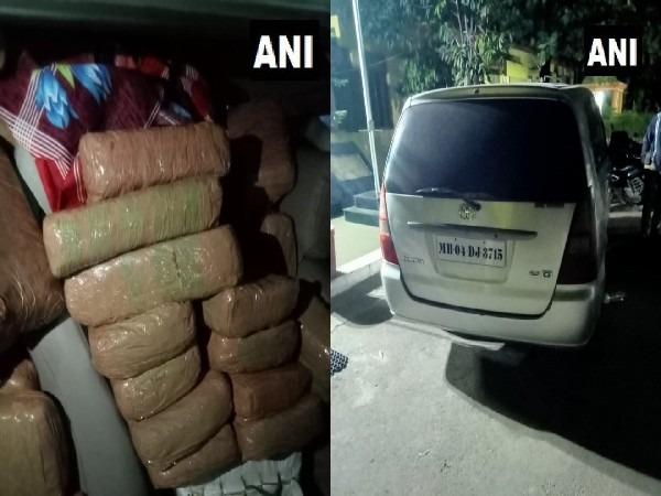 Marijuana seized by police in a car at Vijapur highway (Photo/ANI) 