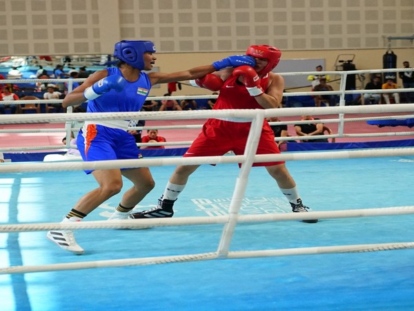 Lovlina Borgohain (Blue) in action (Photo/BFI)
