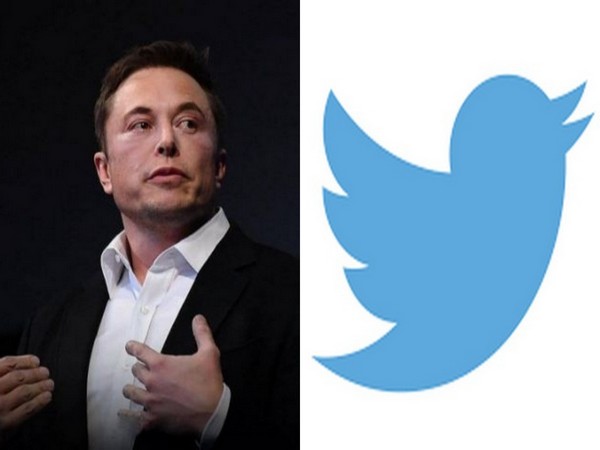 Tesla CEO Elon Musk and microblogging site Twitter logo.