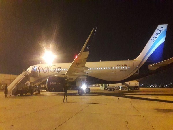 IndiGo flight 6E-1406 at Karachi airport(Photo/ANI)