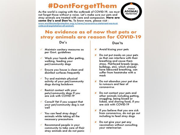 World Animal Protection - Awareness Drive