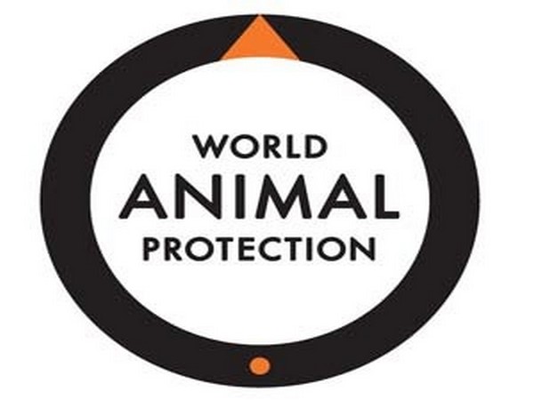 World Animal Protection
