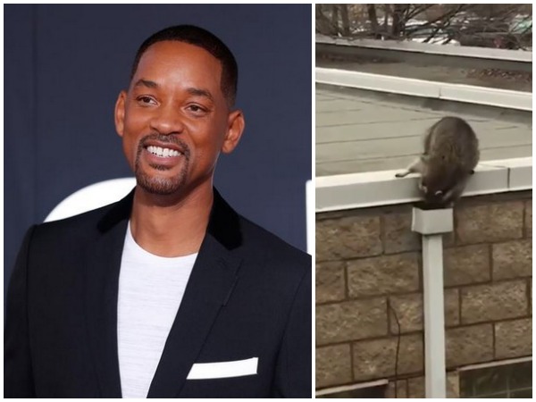 Will Smith and the raccoon sneaking at his home (Image courtesy: Instagram)