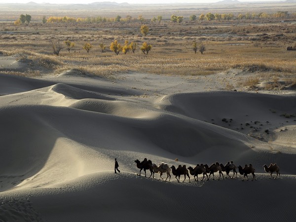 Xinjiang desert. (Photo Credit - Reuters)