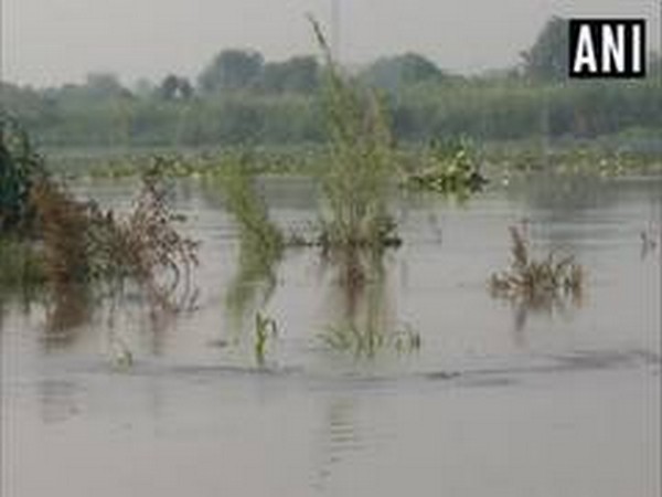 File photo of Yamuna river