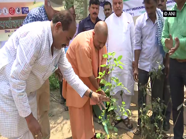 Chief Minister Yogi Adityanath planting a sapling