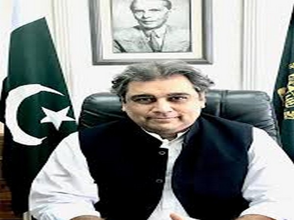 Pakistan Minister for Shipping and Maritime Affairs Ali Haider Zaidi (File photo)