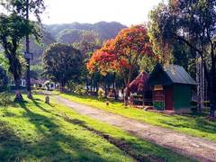 
    Mapao Zingsho - a village in Manipur that promotes cleanliness
    