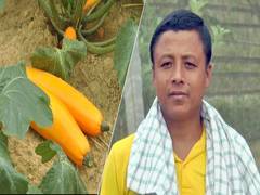 
      
      Manipur farmers adopt integrated farming for better sustainability
      
      