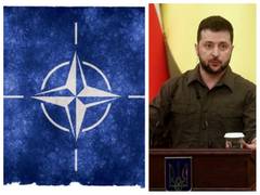 
      
       Zelensky to attend NATO summit in Madrid 
      
      