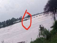 
      
      Raft capsizes in Krishna river, 9 rescued, 4 still missing  
      
      