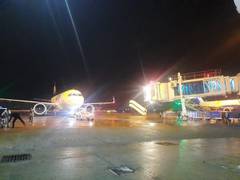 
      
      J-K: AAI approves night parking of Go First at Srinagar airport
      
      