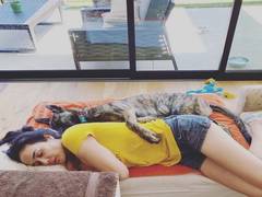 
      
      Preity Zinta shares adorable pic with her furry friend Bruno
      
      