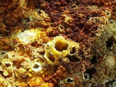 
    A place on Earth with no life?
    