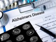 
      
      Genome-editing strategy developed for potential Alzheimer's...
      
      